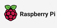 Raspberry Pi brand logo