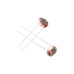 Photo Resistor Sensor LDR 5mm GL5549 80kΩ~150kΩ P=3.4mm - Ekostra Electronics In Egypt اكوسترا الكترونيكس